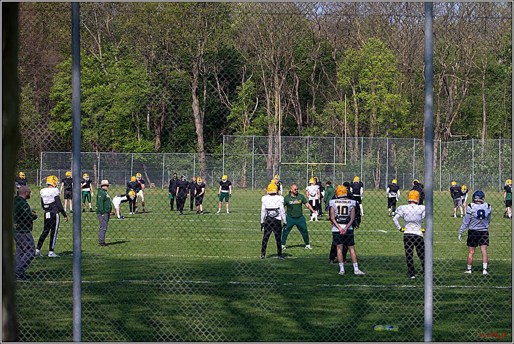 American Football, Colgone, Cocodiles,