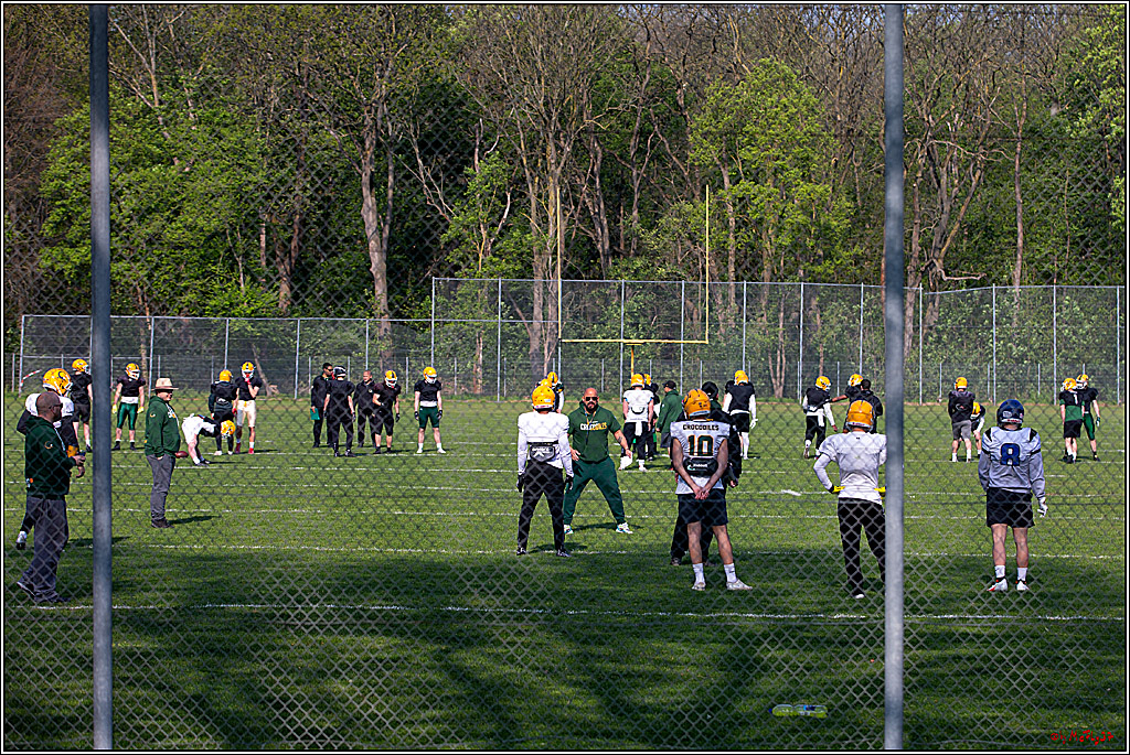 American Football, Colgone, Cocodiles,