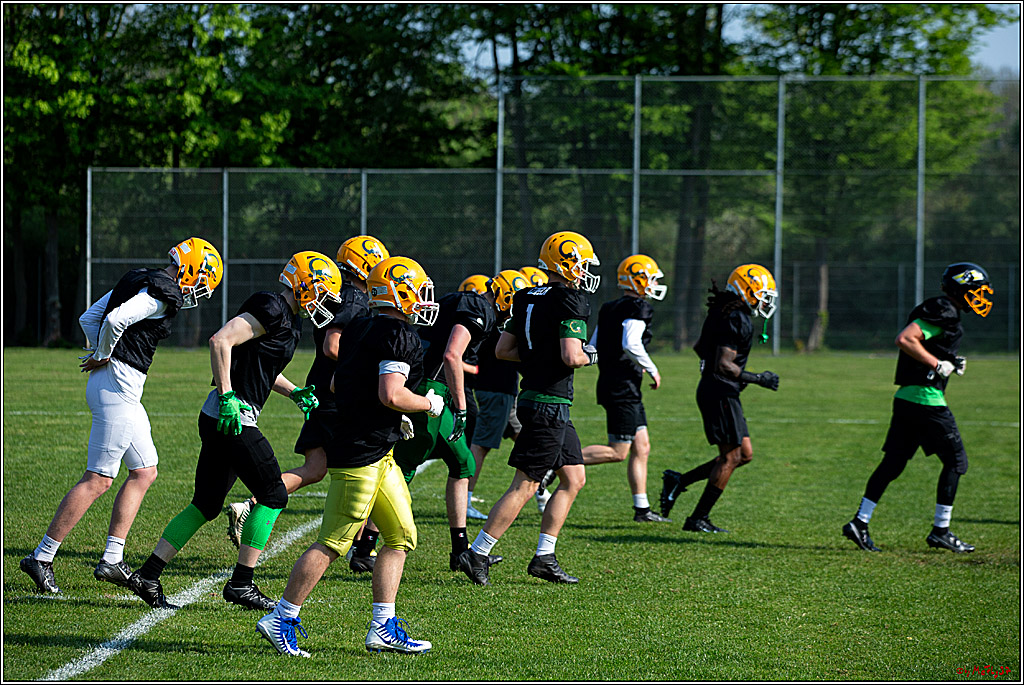 American Football, Colgone, Cocodiles,