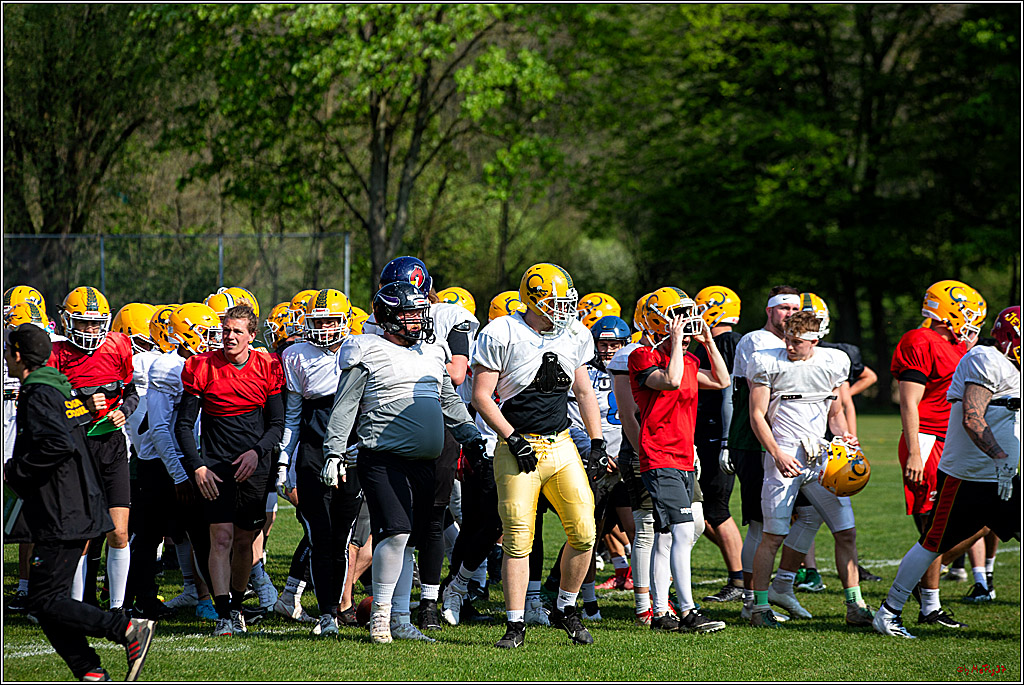 American Football, Colgone, Cocodiles,