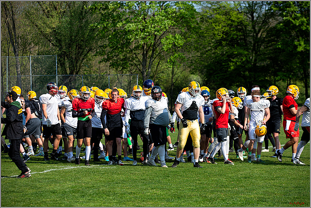 American Football, Colgone, Cocodiles,