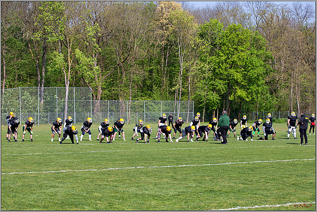 American Football, Colgone, Cocodiles,