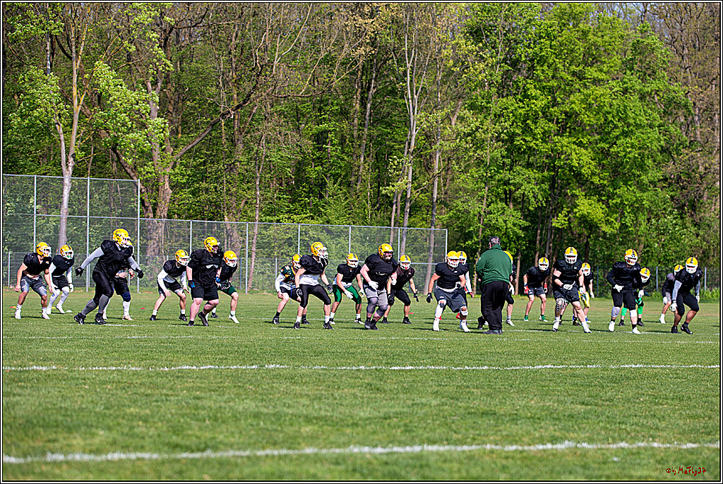 American Football, Colgone, Cocodiles,