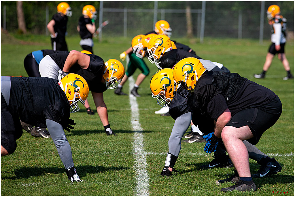 American Football, Colgone, Cocodiles,