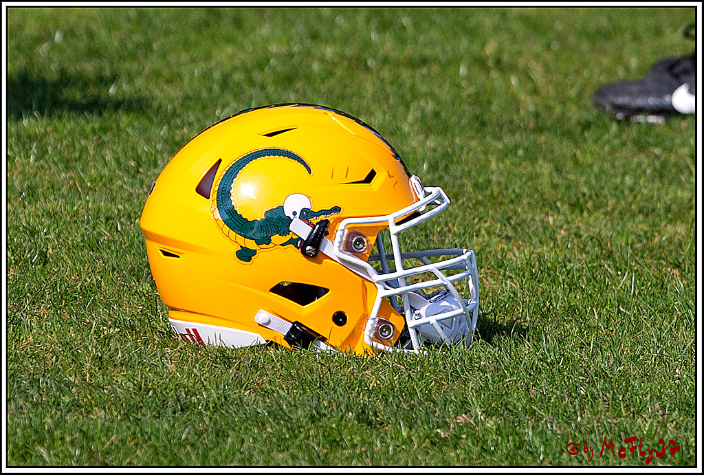 American Football, Colgone, Cocodiles,