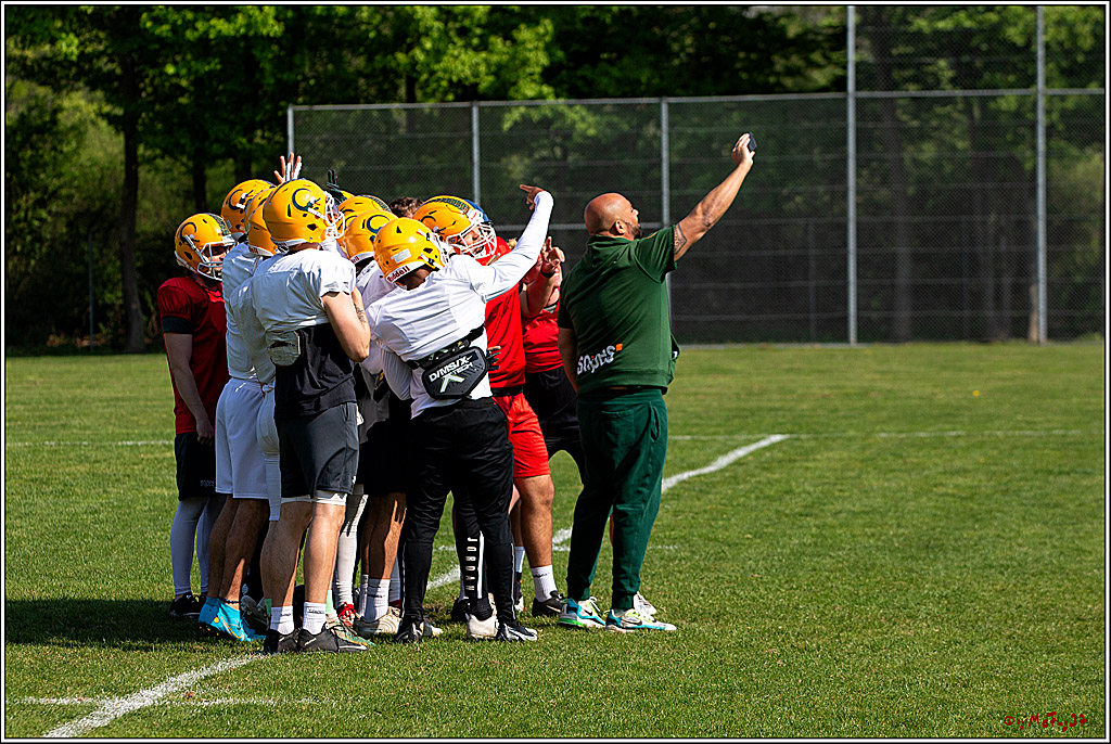 American Football, Colgone, Cocodiles,