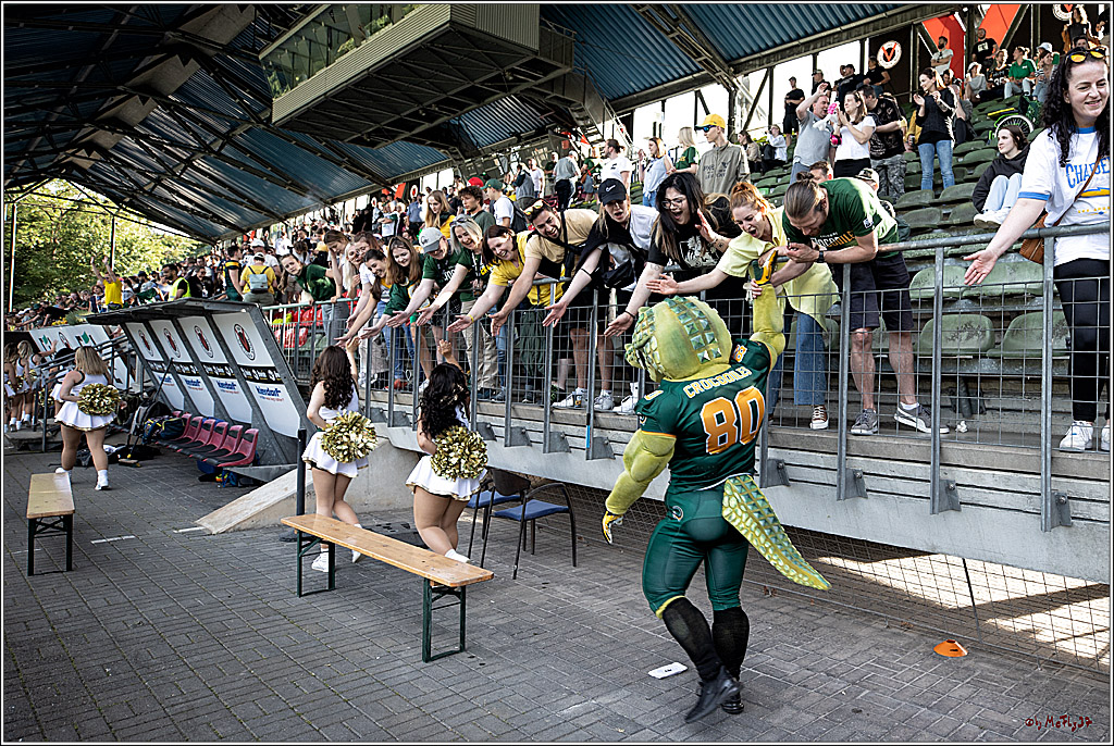 GFL (Nord): Cologne Crocodiles vs Duesseldorf Panther, 22.05.2022
