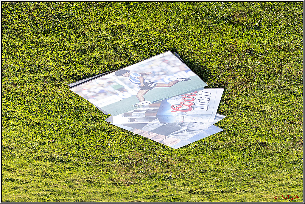 GFL, Düsseldorf Panther - Cologne Crocodiles; Düsseldorf, 20.08.2022