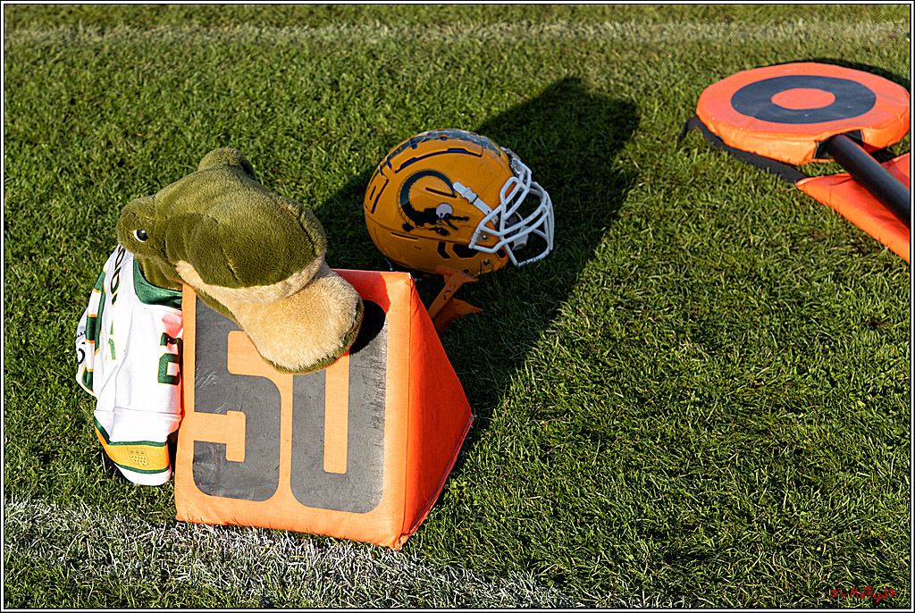 GFL, Düsseldorf Panther - Cologne Crocodiles; Düsseldorf, 20.08.2022