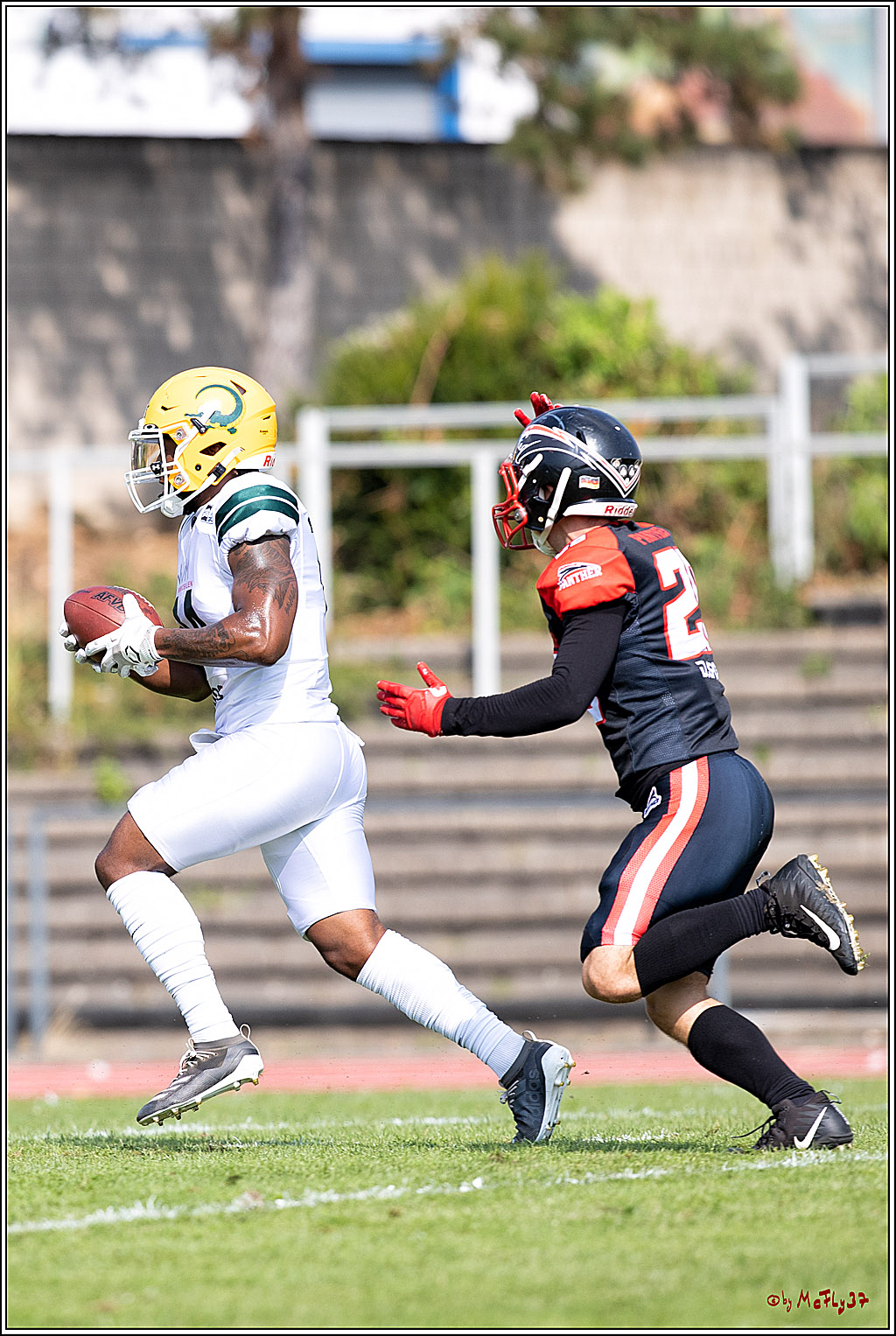 GFL, Düsseldorf Panther - Cologne Crocodiles; Düsseldorf, 20.08.2022