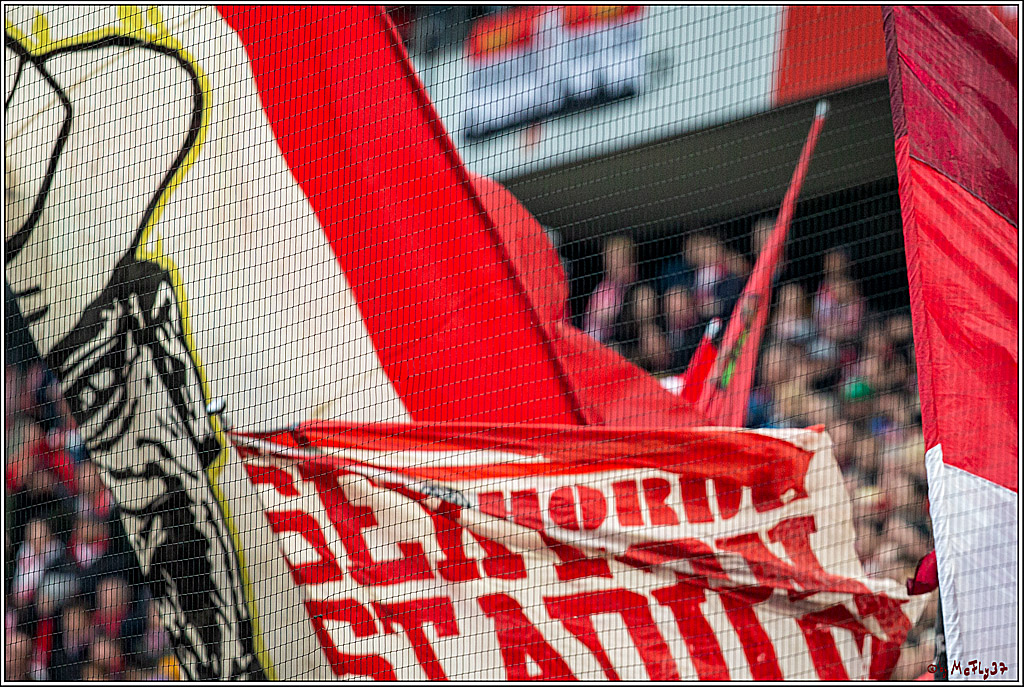 Fussball 1. Fussball Bundesliga, 1.FC Koeln - SC Freiburg, 02.02.2020