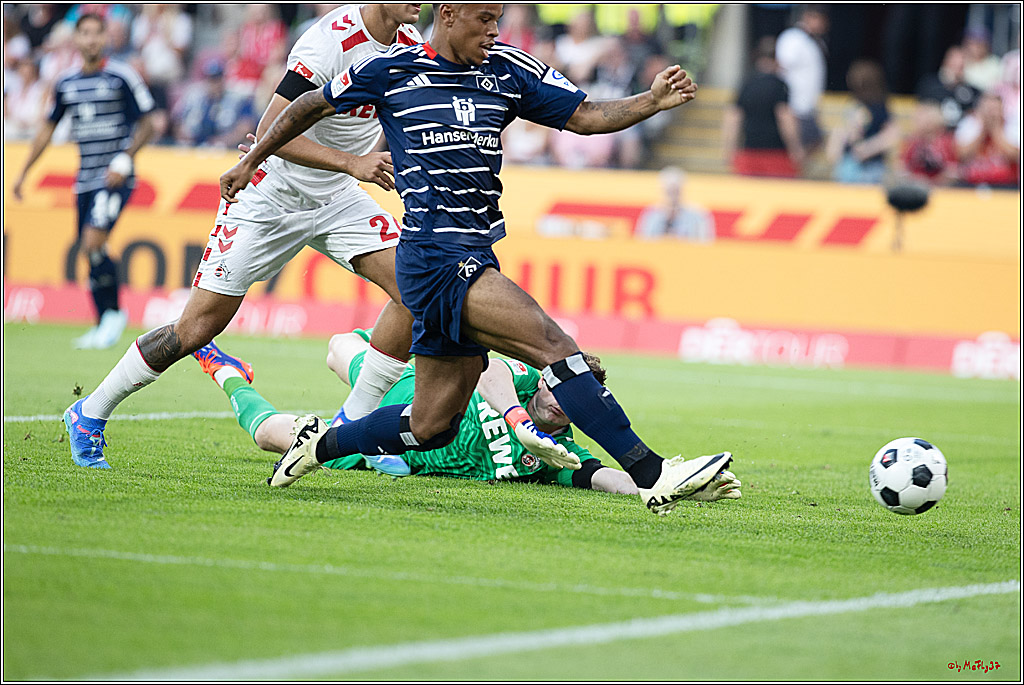 2. Fussball Bundesliga, 1. FC Köln - Hamburger SV  - , 02.08.2024