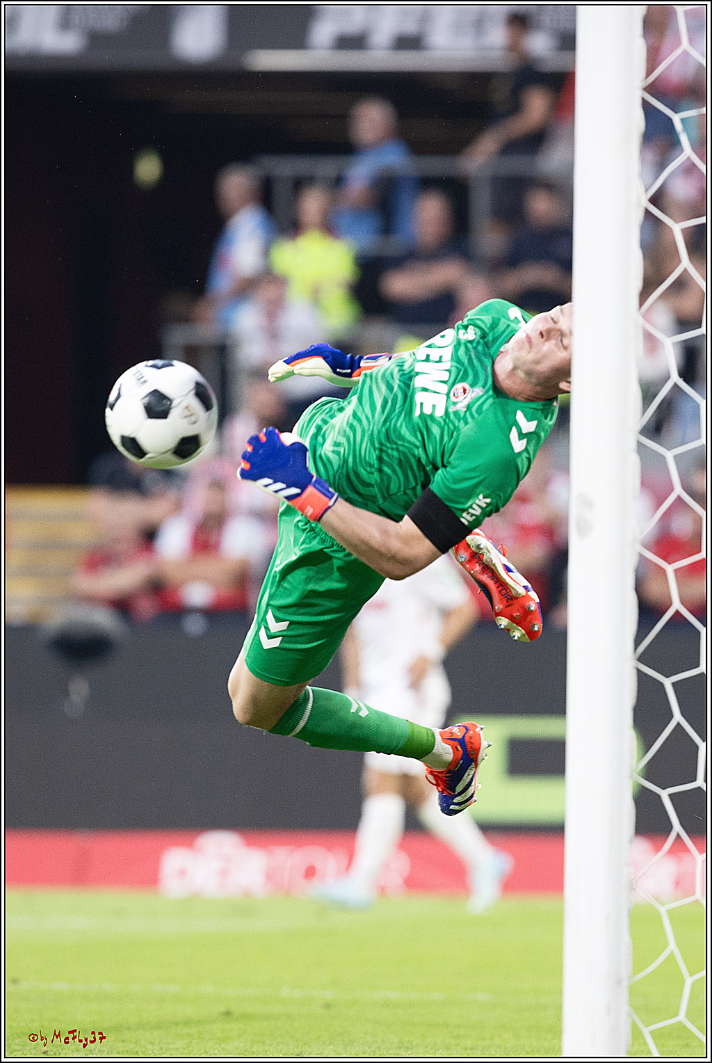 2. Fussball Bundesliga, 1. FC Köln - Hamburger SV  - , 02.08.2024