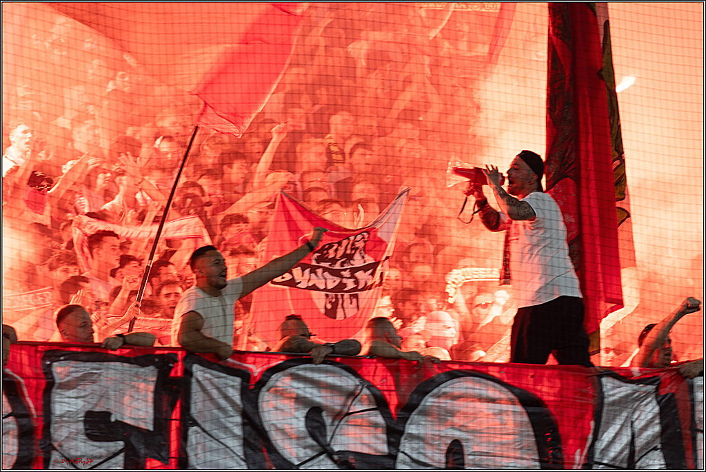 2. Fussball Bundesliga, 1. FC Köln - Hamburger SV  - , 02.08.2024