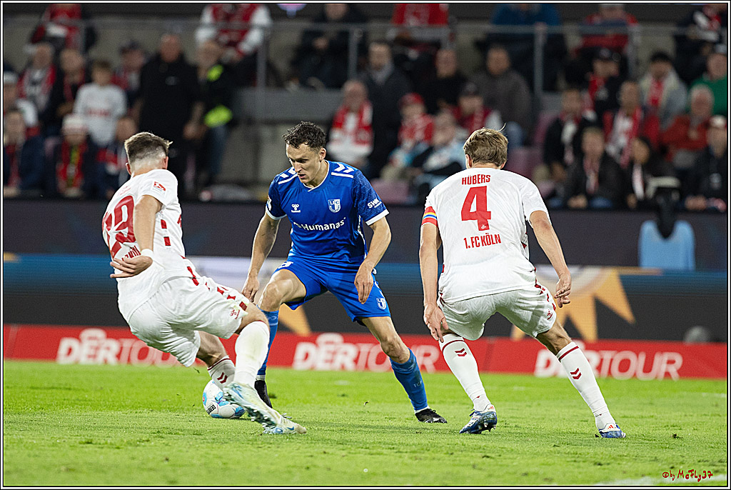 2. Fussball Bundesliga, 1.FC Köln - 1. FC Magdeburg, 14.09.2024