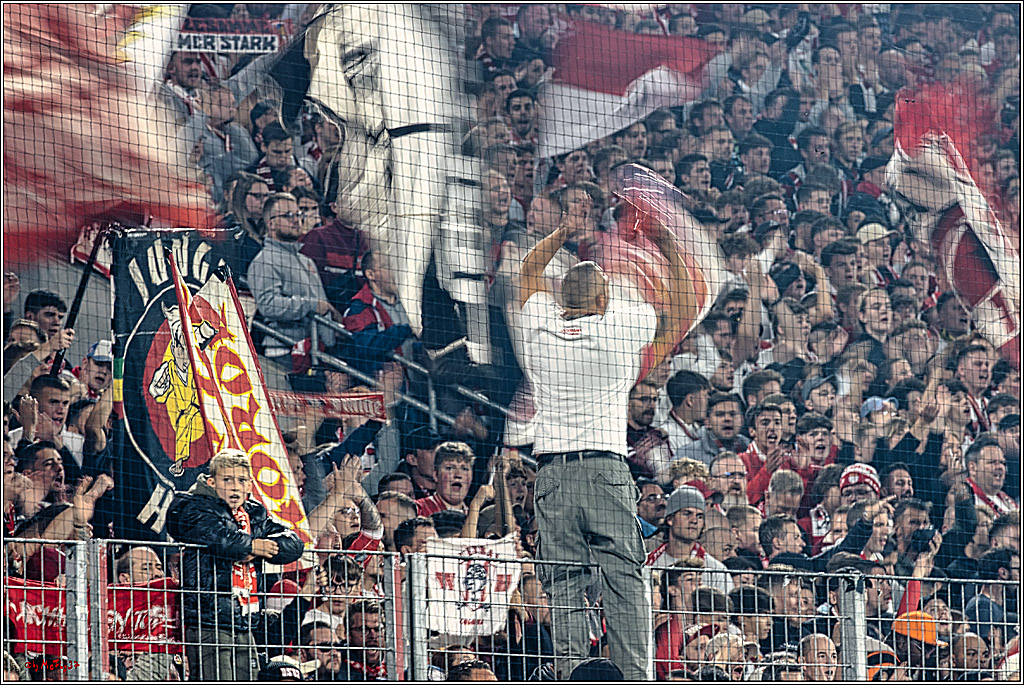 2. Fussball Bundesliga, 1.FC Köln - 1. FC Magdeburg, 14.09.2024