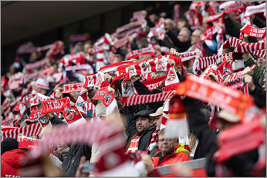 2. Fussball Bundesliga, 1.FC Köln - SpVgg Greuther Fürth, 09.11.2024