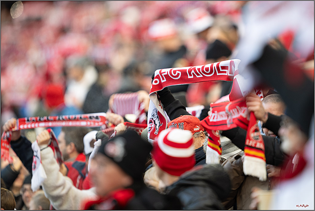 2. Fussball Bundesliga, 1.FC Köln - Hannover 96, 30.11.2024