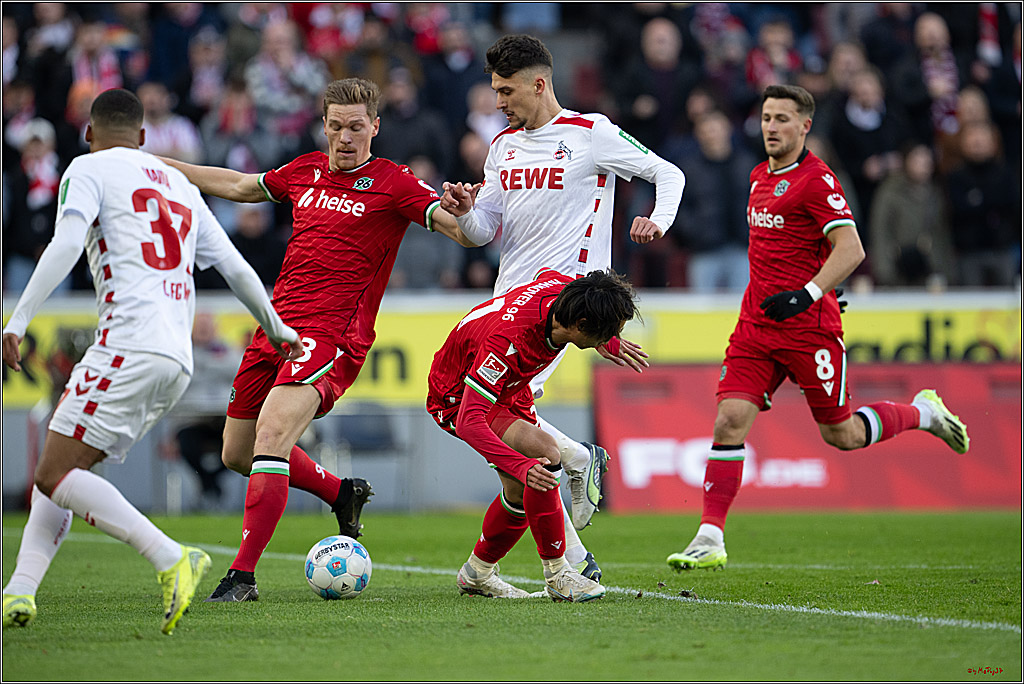 2. Fussball Bundesliga, 1.FC Köln - Hannover 96, 30.11.2024