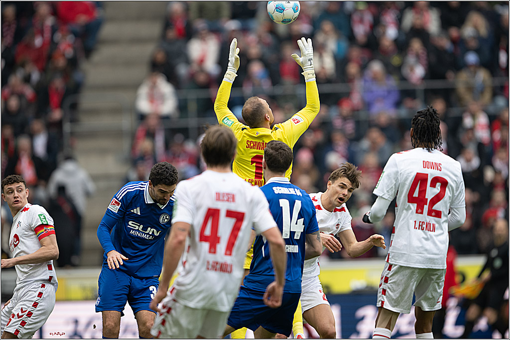 2. Fussball Bundesliga, 1.FC Köln - FC Schalke 04 , 09.02.2025