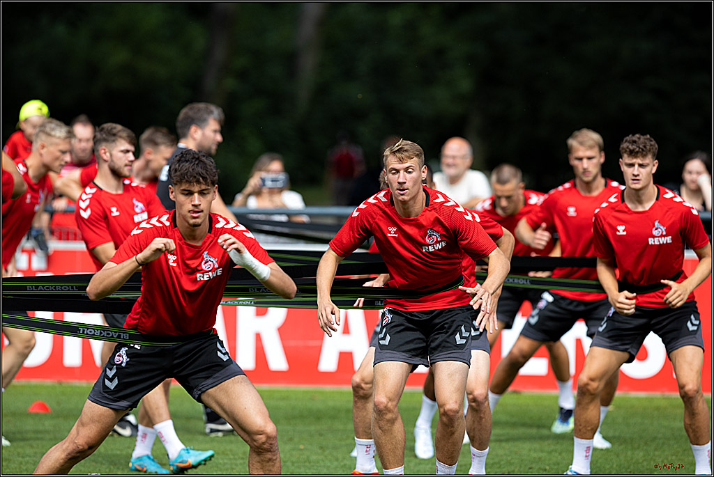 1. Fußball Bundesliga, Training 1.FC Köln, 14.07.2022