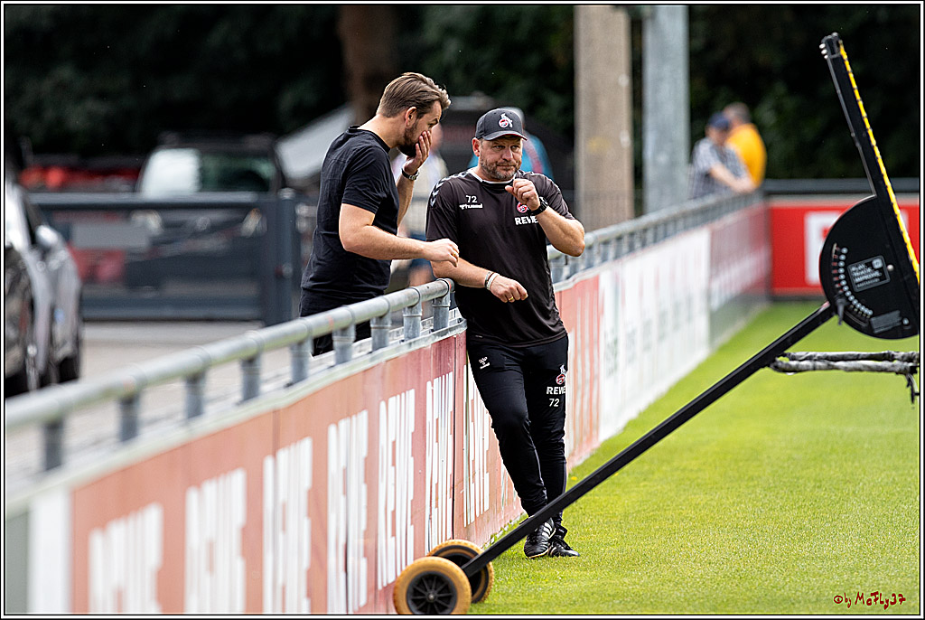 Training 1. FC Köln, 31.07.2022