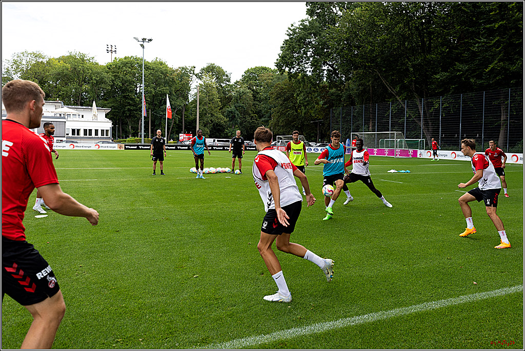 Training 1. FC Köln, 31.07.2022
