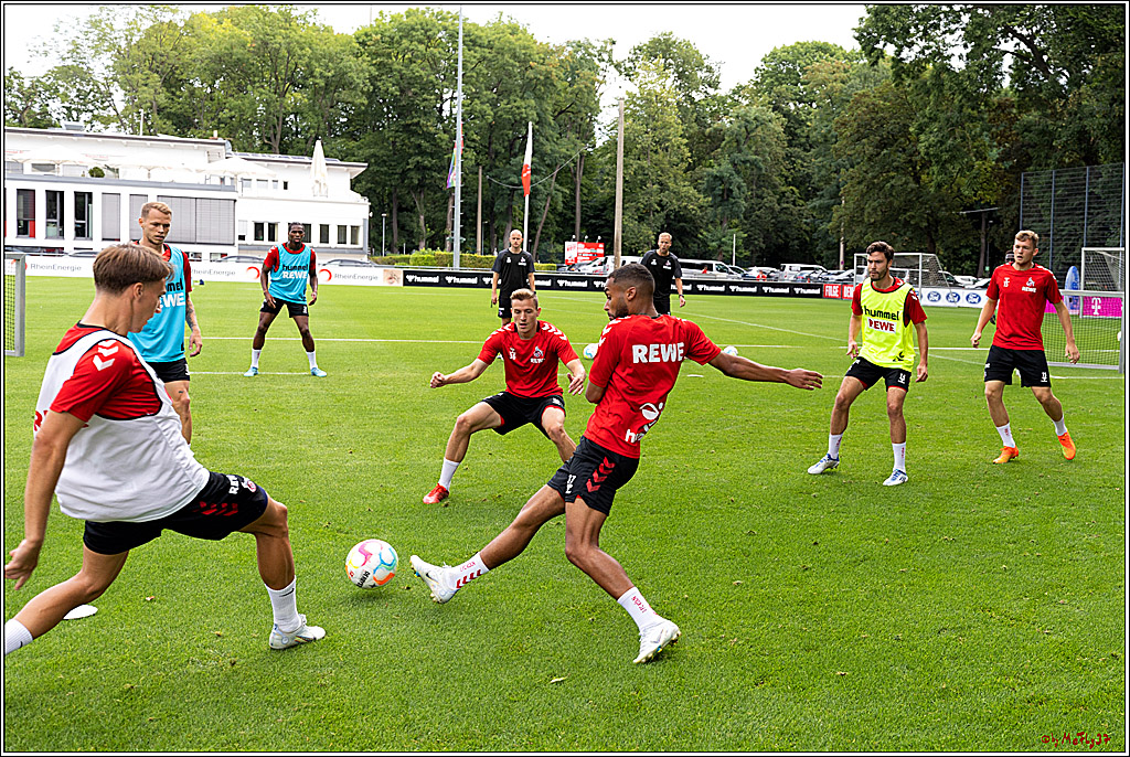 Training 1. FC Köln, 31.07.2022