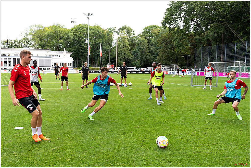 Training 1. FC Köln, 31.07.2022