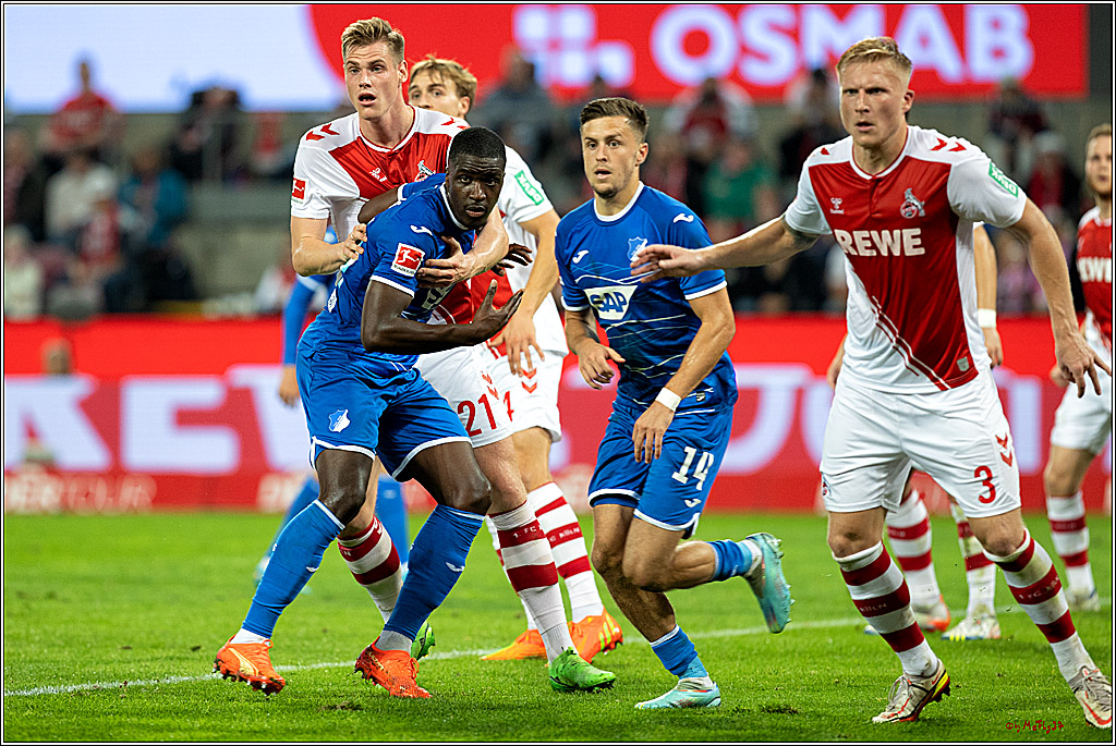 1. Fußball Bundesliga, 1.FC Köln - TSG 1899 Hoffenheim, 30.10.2022