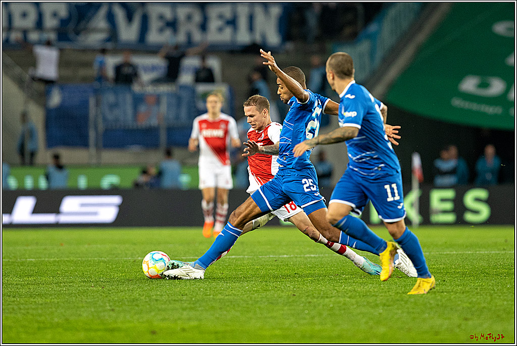 1. Fußball Bundesliga, 1.FC Köln - TSG 1899 Hoffenheim, 30.10.2022