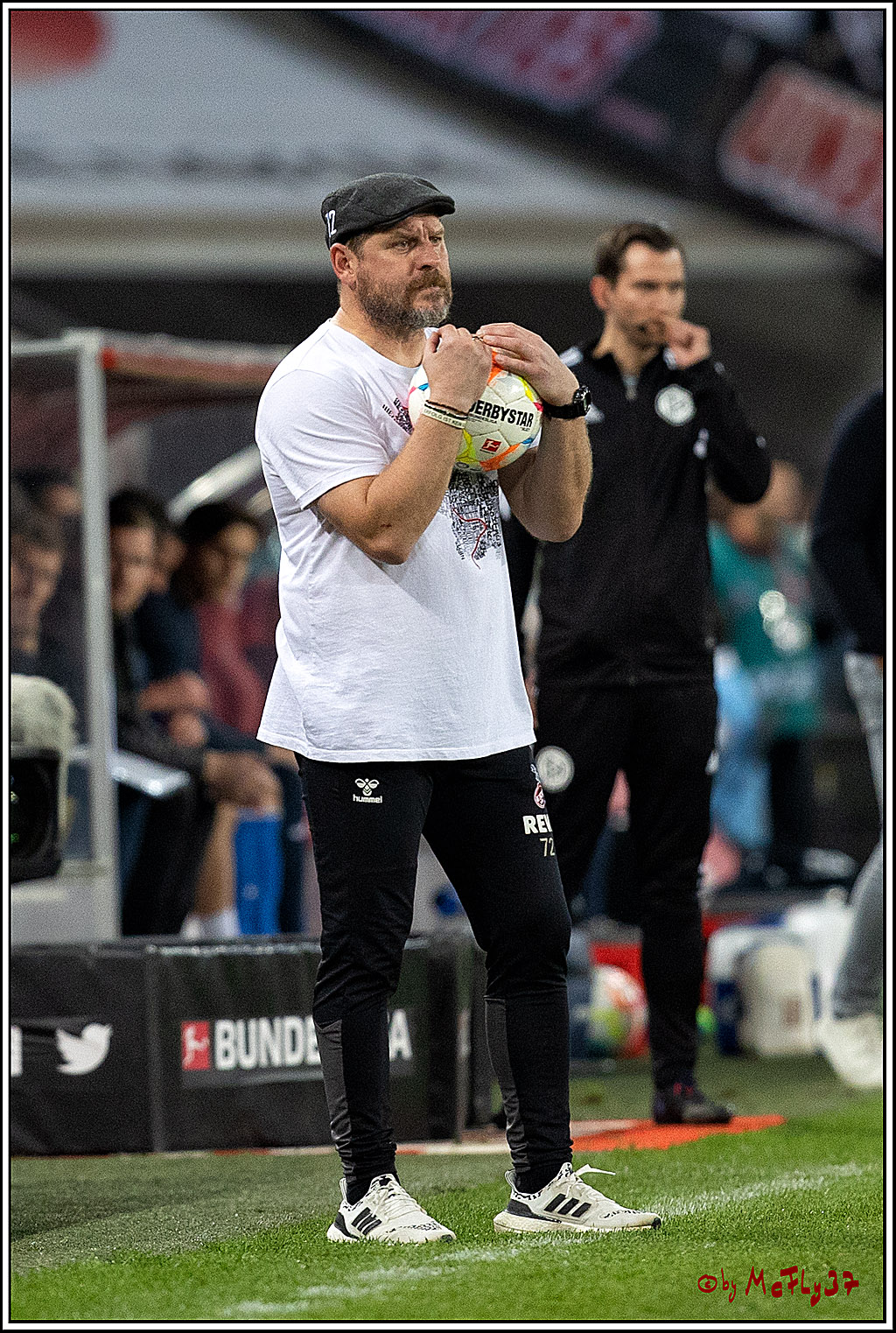 1. Fußball Bundesliga, 1.FC Köln - TSG 1899 Hoffenheim, 30.10.2022