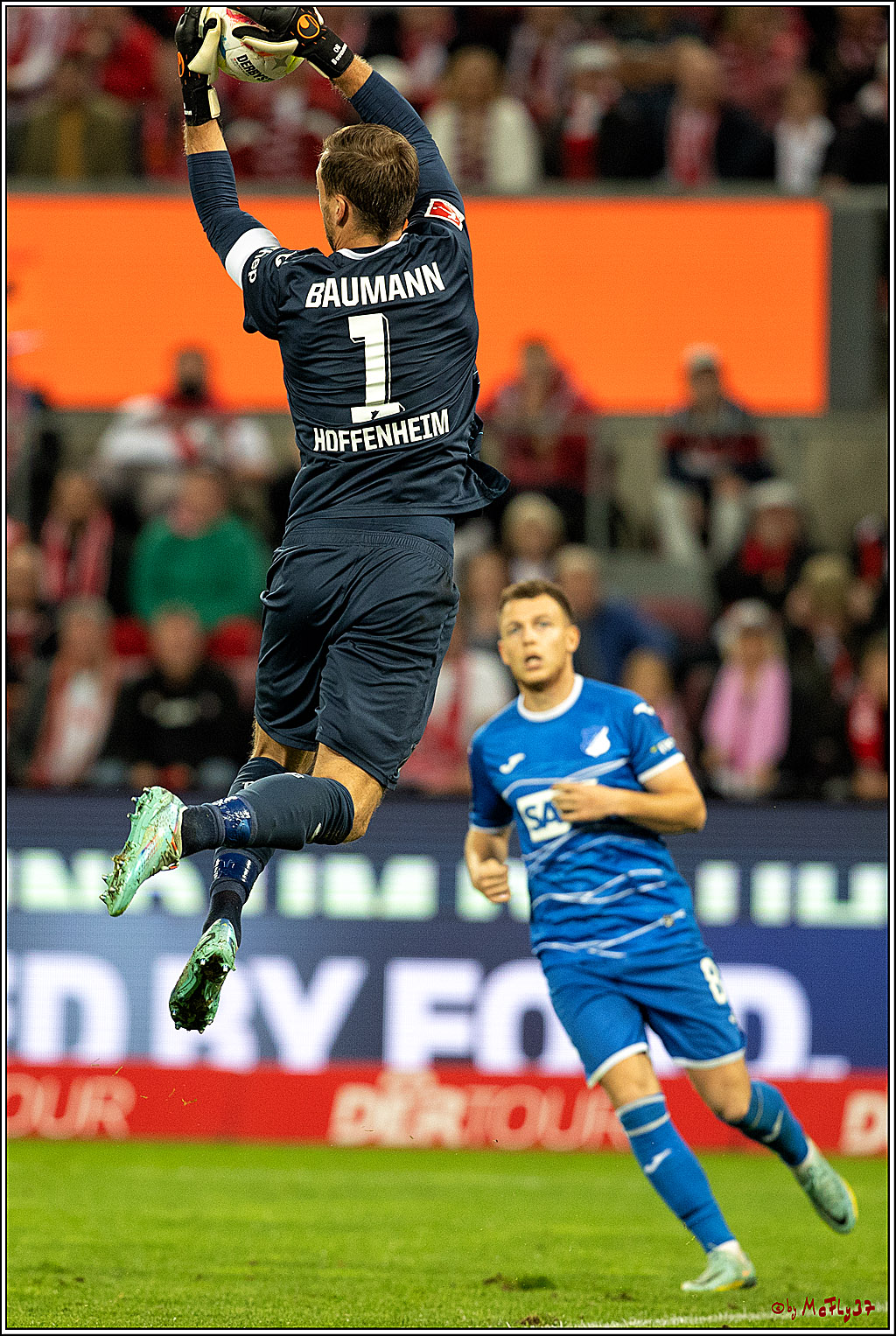 1. Fußball Bundesliga, 1.FC Köln - TSG 1899 Hoffenheim, 30.10.2022