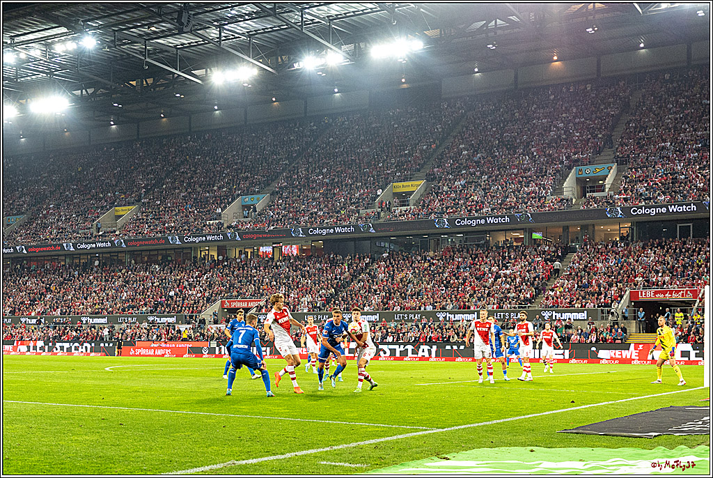 1. Fußball Bundesliga, 1.FC Köln - TSG 1899 Hoffenheim, 30.10.2022
