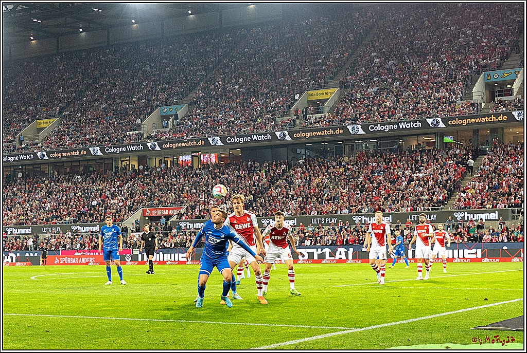 1. Fußball Bundesliga, 1.FC Köln - TSG 1899 Hoffenheim, 30.10.2022