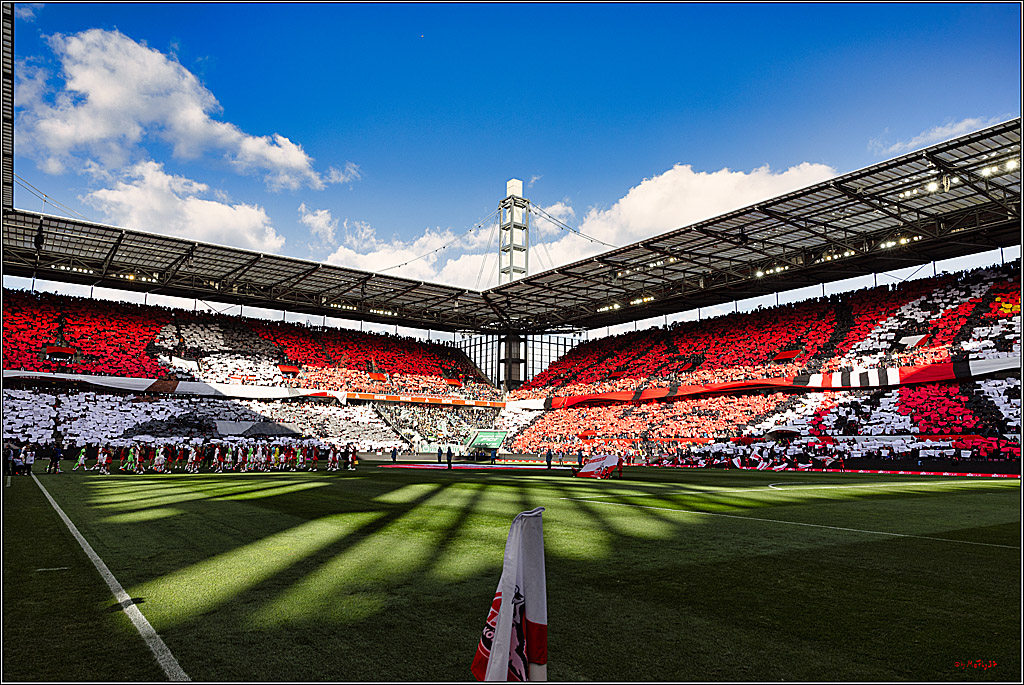 1. Fußball Bundesliga, 1.FC Köln - VfL Wolfsburg, 25.02.2023