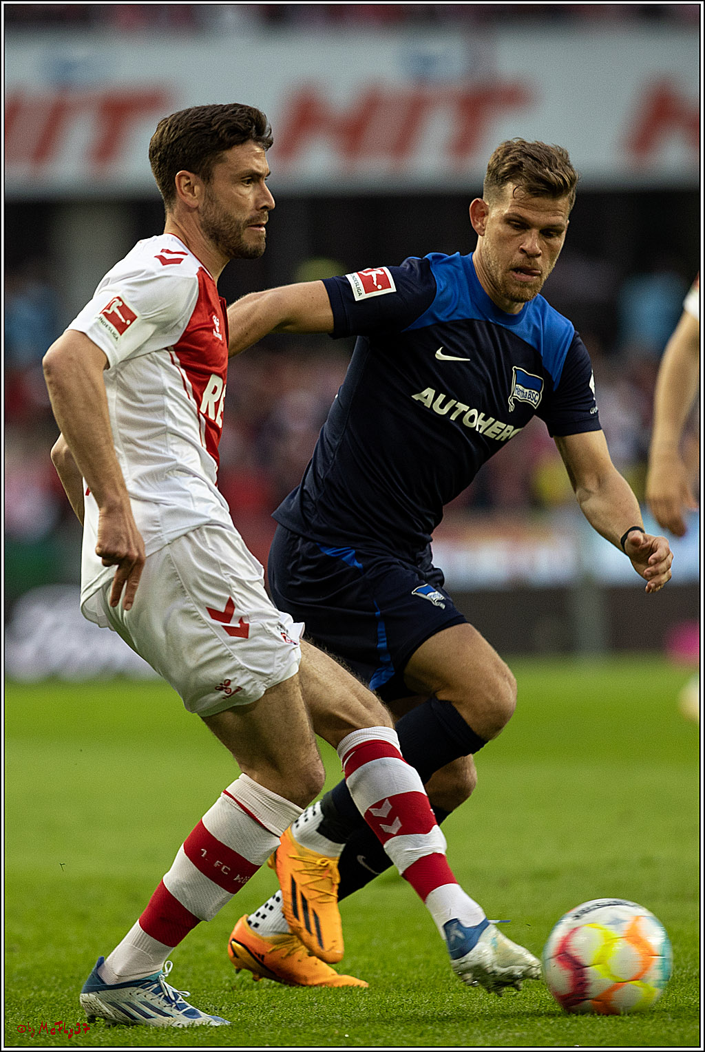 1. Fussball Bundesliga, 1.FC Koeln - Hertha BSC, 12.05.2023