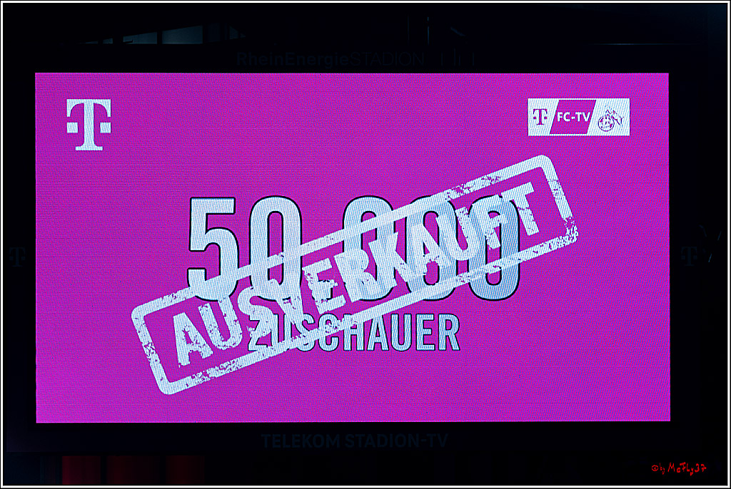 1. Fussball Bundesliga, 1.FC Koeln - Hertha BSC, 12.05.2023