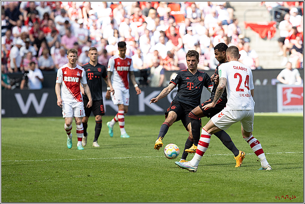 1. Fussball Bundesliga, 1.FC Koeln - FC Bayern Muenchen, 27.05.2023