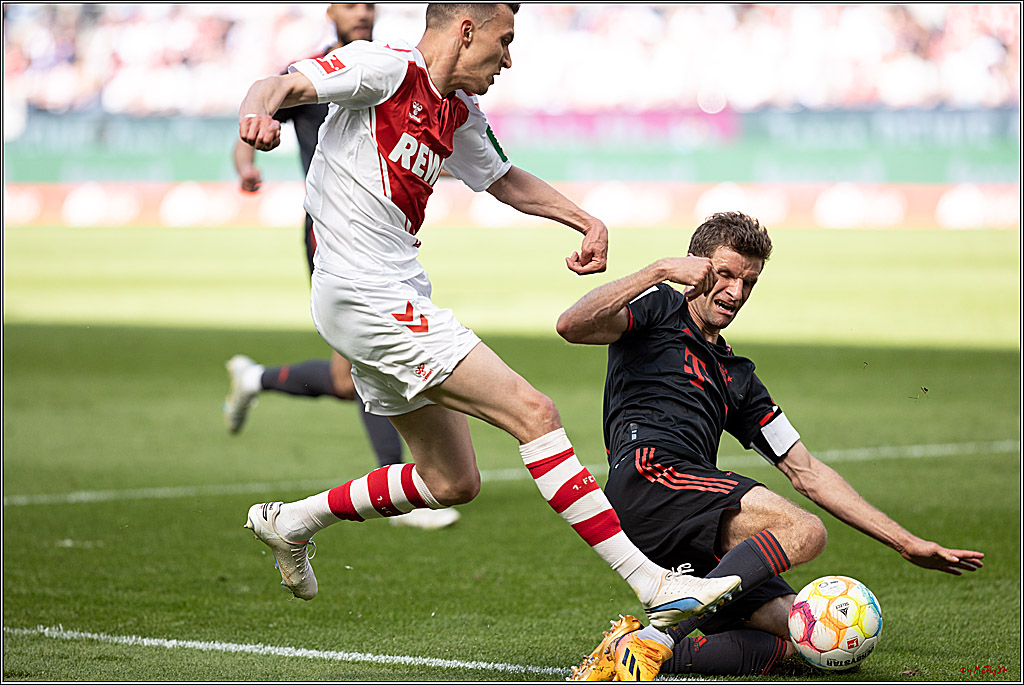 1. Fussball Bundesliga, 1.FC Koeln - FC Bayern Muenchen, 27.05.2023