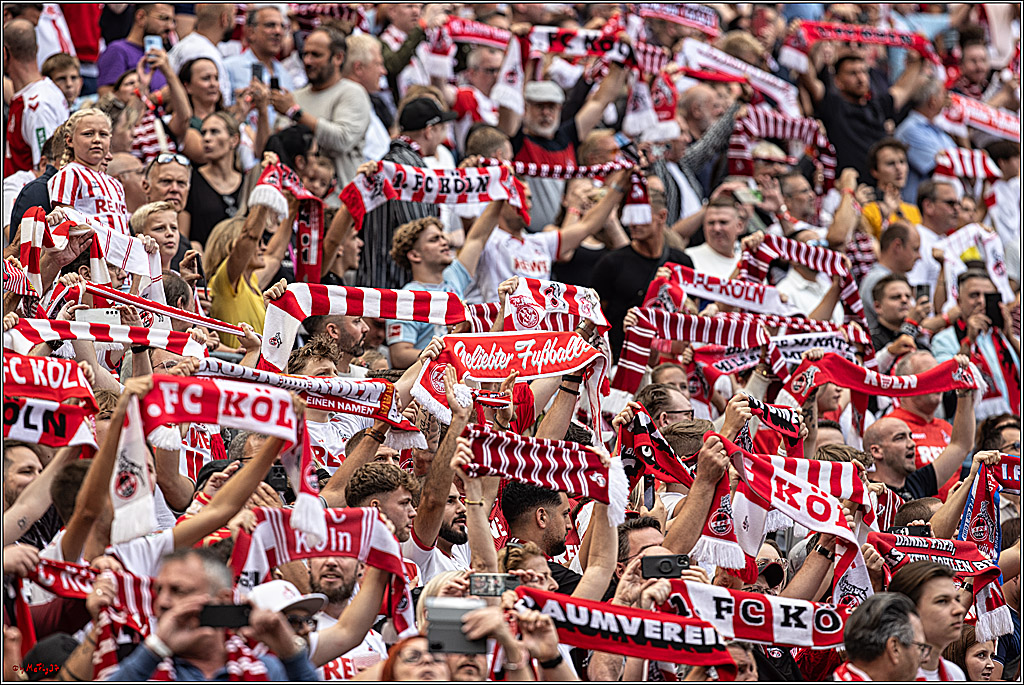 1. Fussball Bundesliga, 1.FC Koeln - VFL Wolfsburg, 26.08.2023