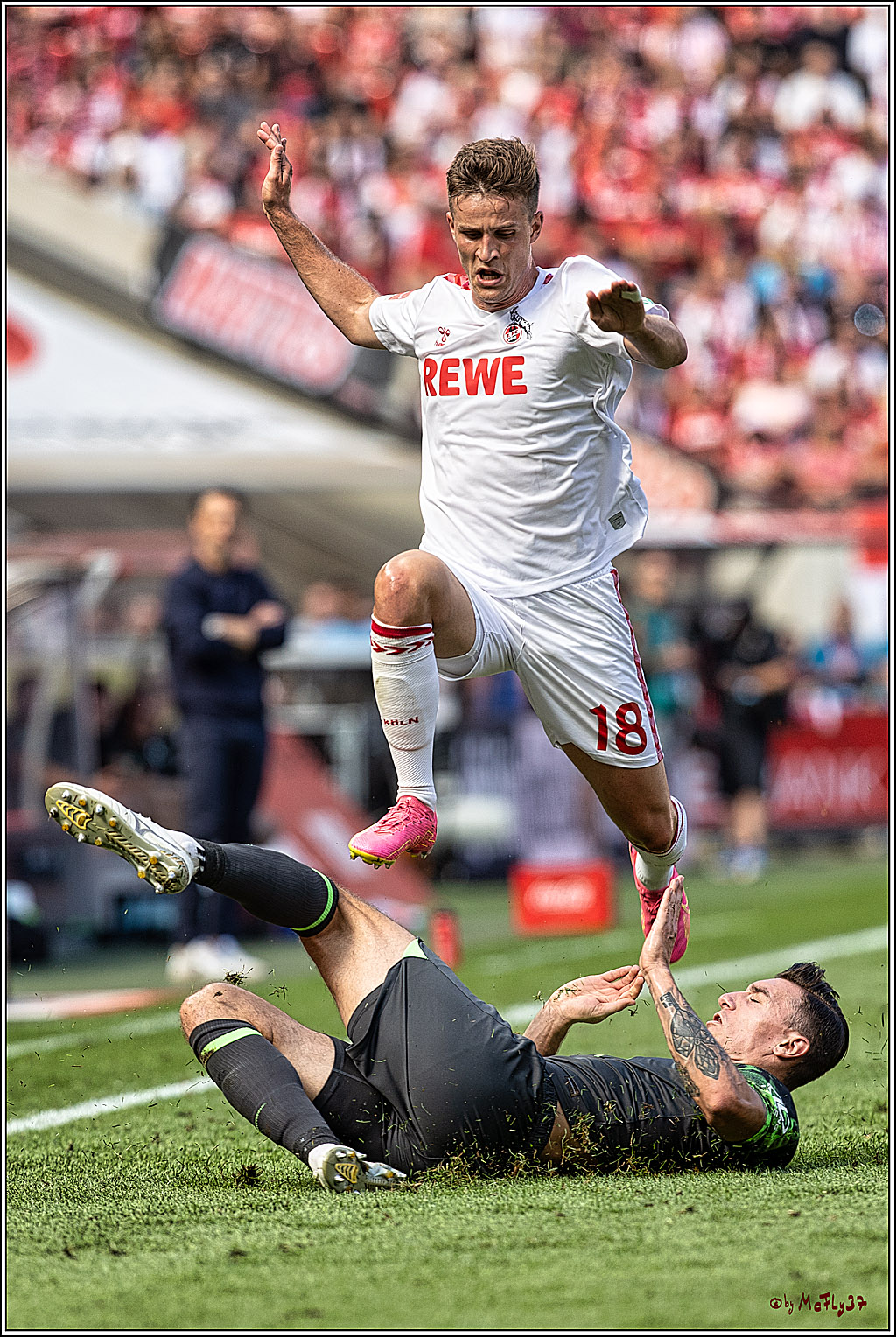 1. Fussball Bundesliga, 1.FC Koeln - VFL Wolfsburg, 26.08.2023