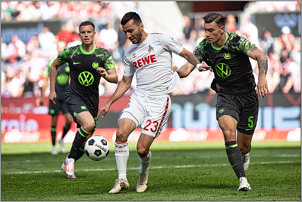 1. Fussball Bundesliga, 1.FC Koeln - VFL Wolfsburg, 26.08.2023