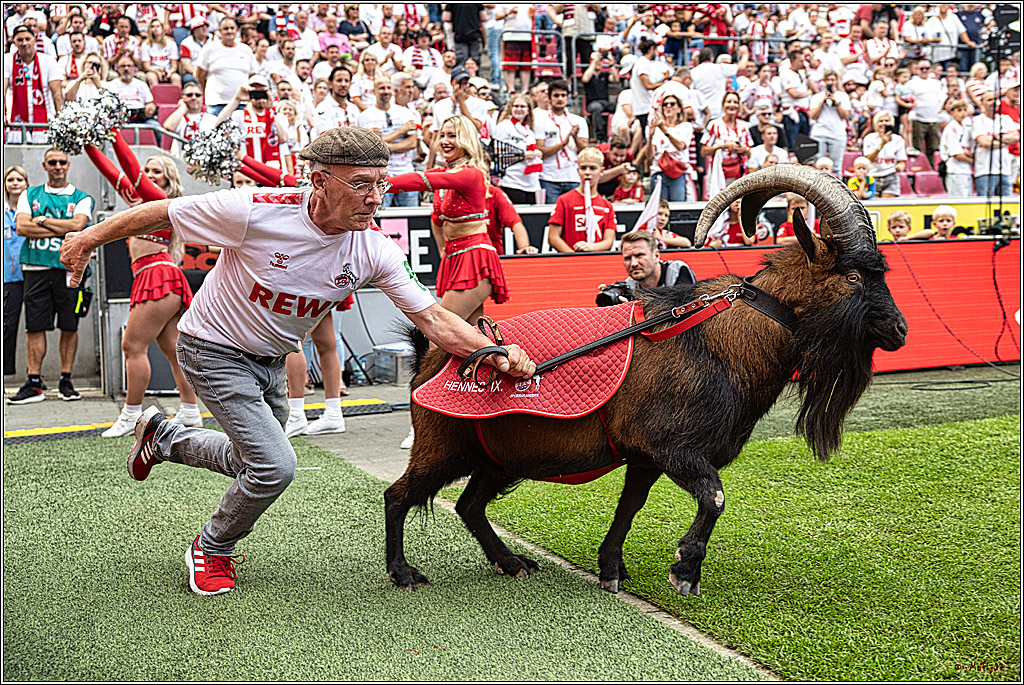 1. Fussball Bundesliga, 1.FC Koeln - TSG 1899 Hoffenheim, 16.09.2023