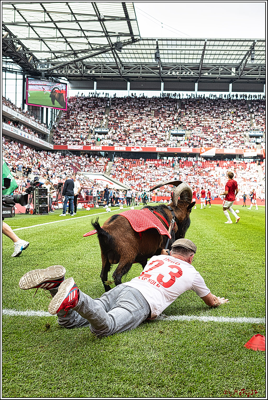 1. Fussball Bundesliga, 1.FC Koeln - TSG 1899 Hoffenheim, 16.09.2023