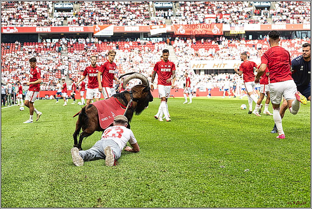 1. Fussball Bundesliga, 1.FC Koeln - TSG 1899 Hoffenheim, 16.09.2023
