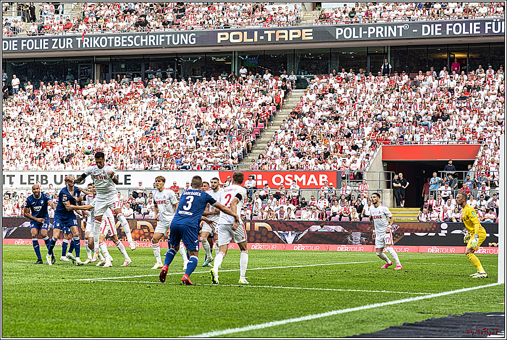 1. Fussball Bundesliga, 1.FC Koeln - TSG 1899 Hoffenheim, 16.09.2023