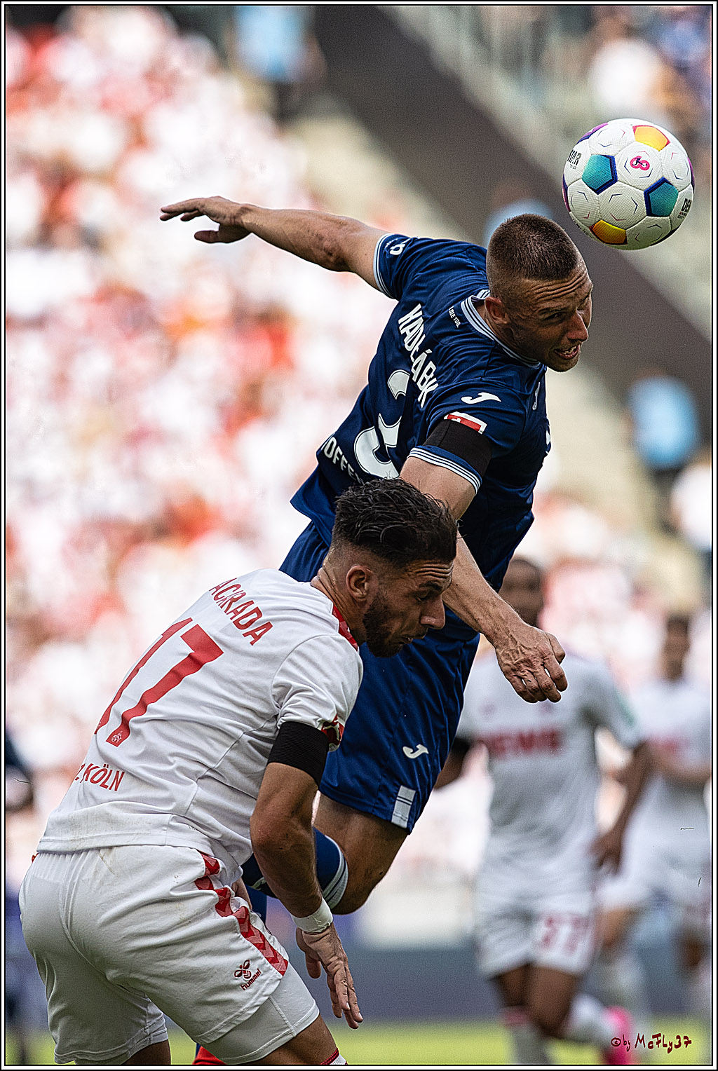 1. Fussball Bundesliga, 1.FC Koeln - TSG 1899 Hoffenheim, 16.09.2023