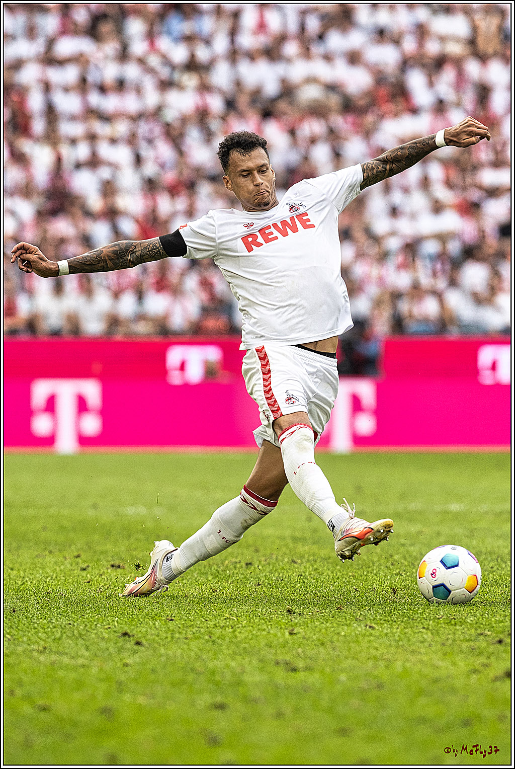 1. Fussball Bundesliga, 1.FC Koeln - TSG 1899 Hoffenheim, 16.09.2023