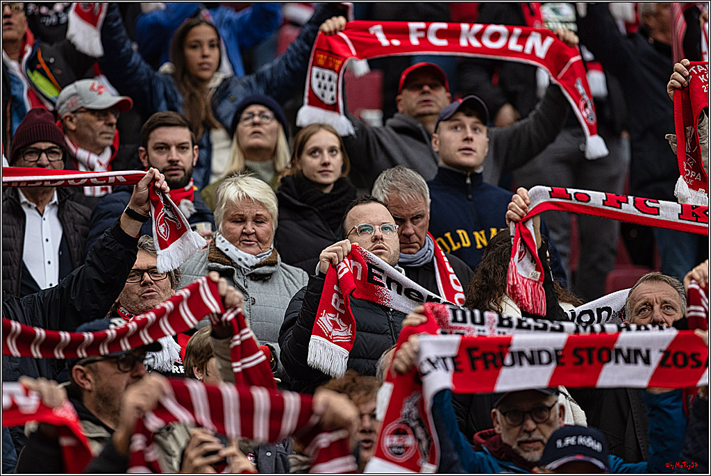 1. Fussball Bundesliga, 1.FC Koeln - FC Augsburg, 04.11.2023